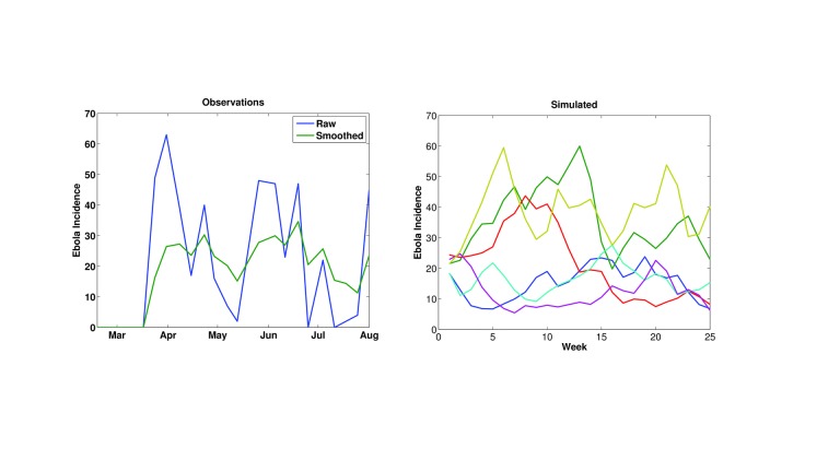 The erratic time series of Ebola incidence data. 