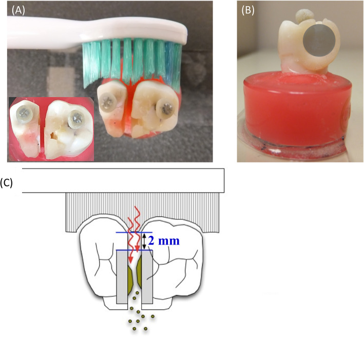 Fig. 2