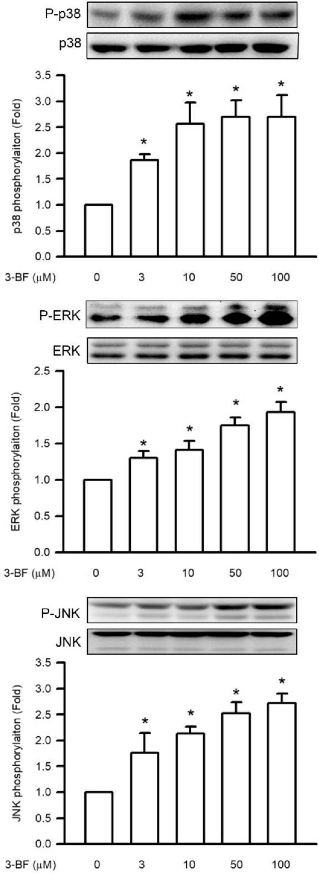 Fig. 6.