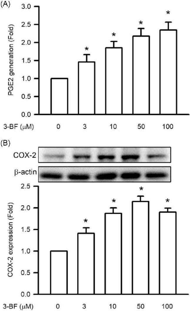 Fig. 3.