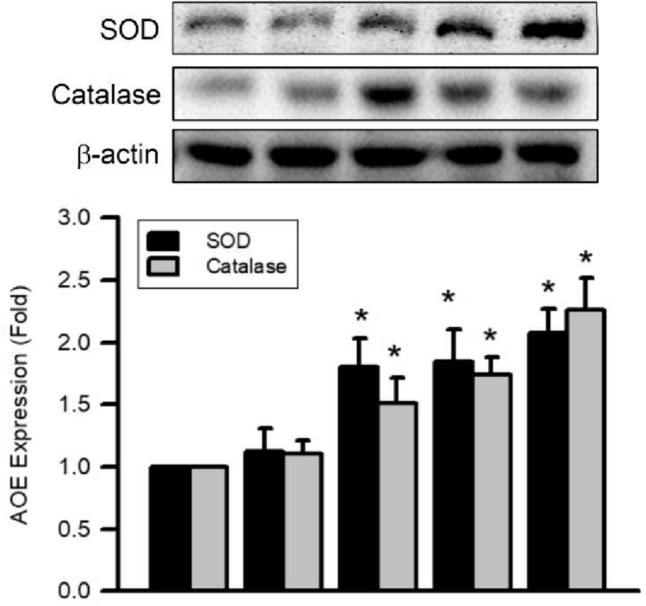 Fig. 9.