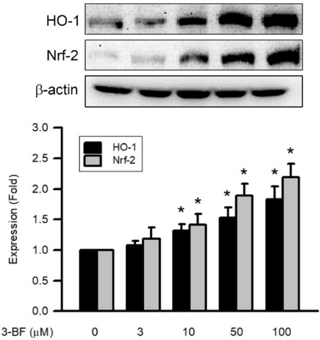 Fig. 10.