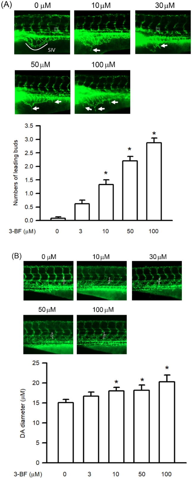 Fig. 1.