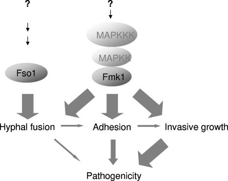 FIG. 7.