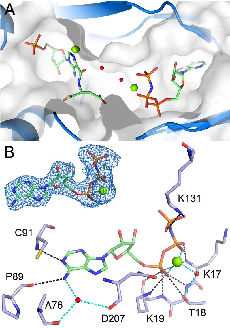 Figure 6.