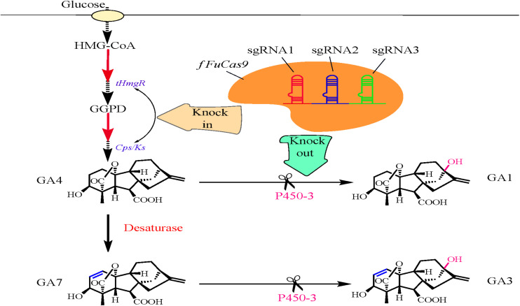 FIGURE 2