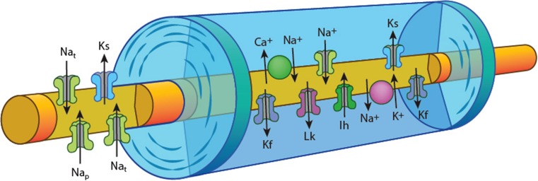 Fig. 1