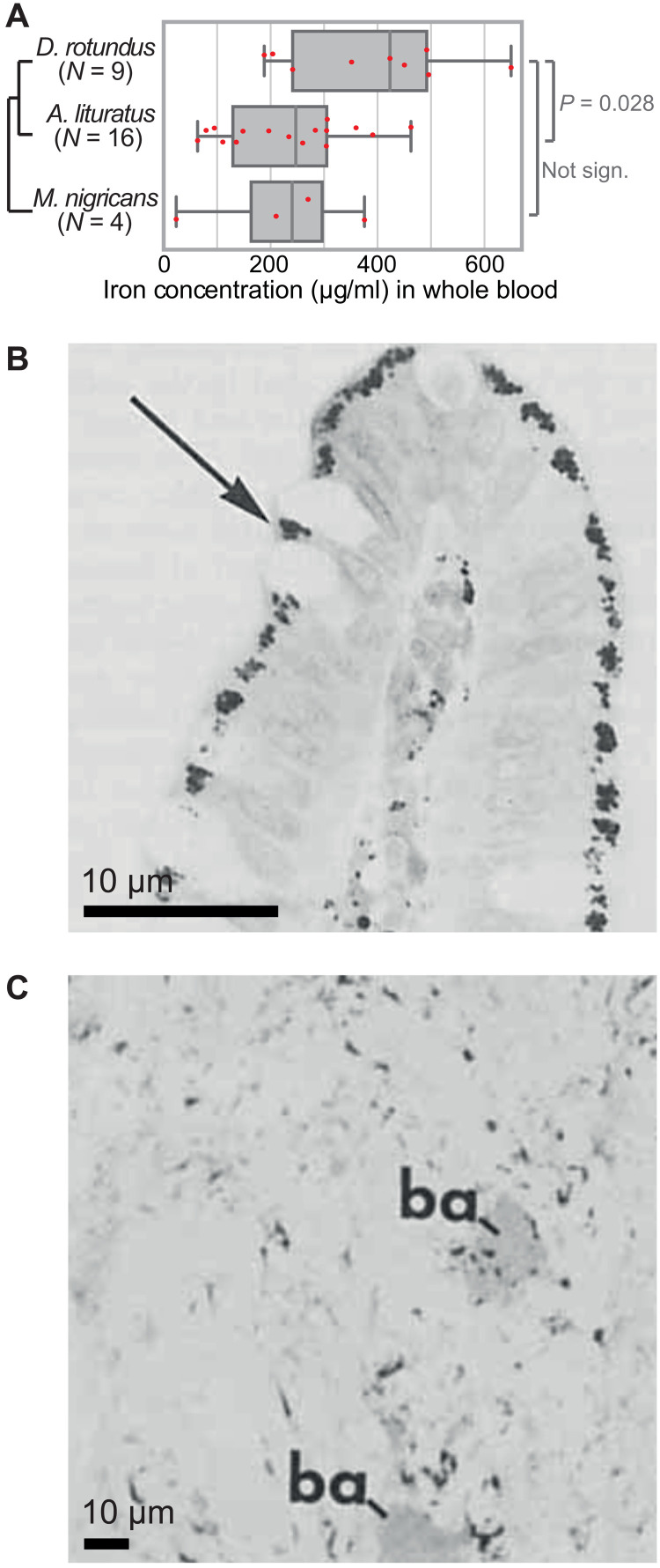 Fig. 3.