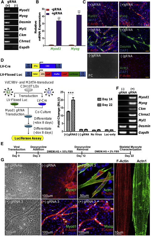 Figure 2