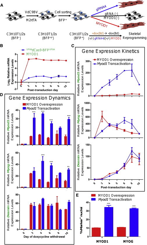 Figure 4