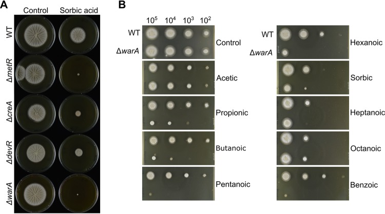 FIG 2