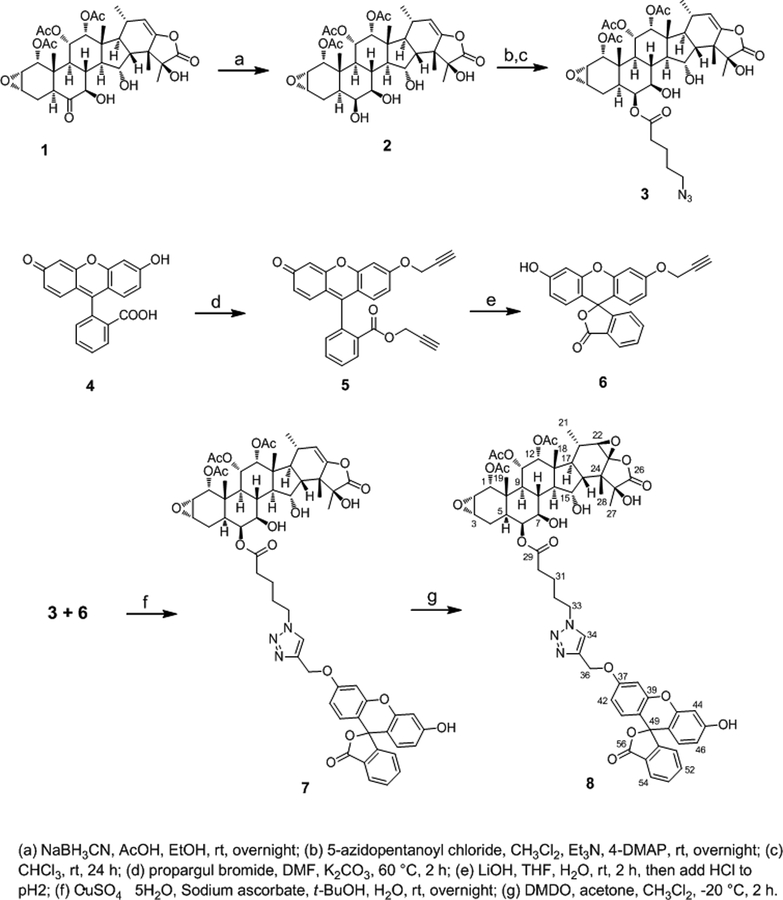 Scheme 1.