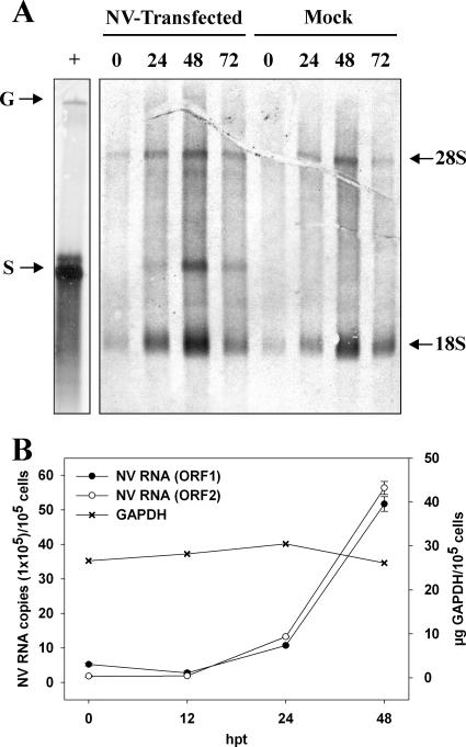 FIG. 5.