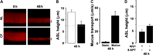 Figure 11.