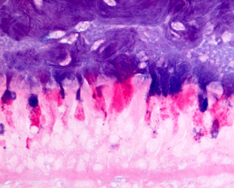 Figure 10.