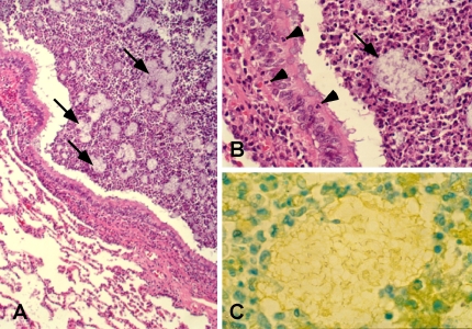Figure 9.