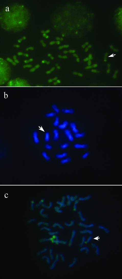 Figure 2