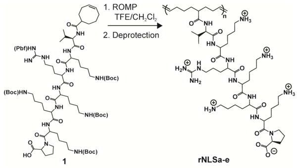 Scheme 1