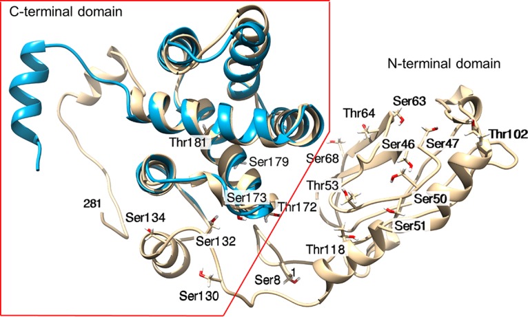 FIG 5