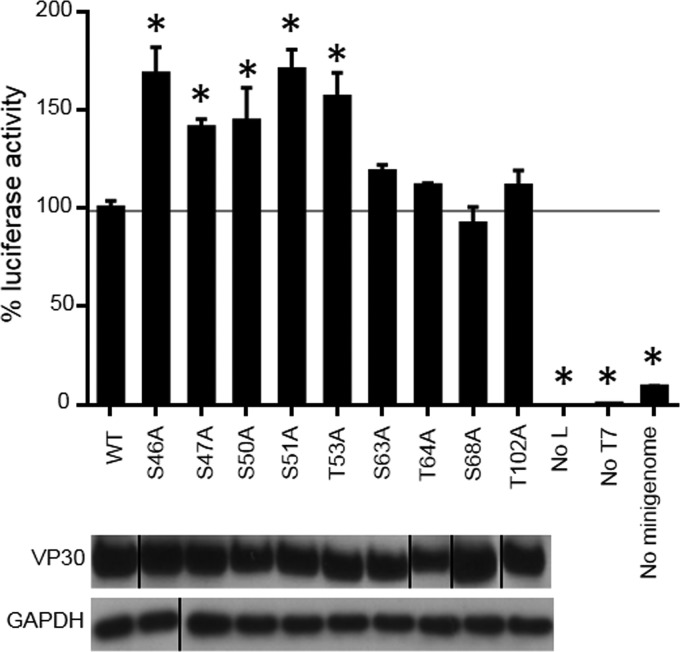 FIG 7