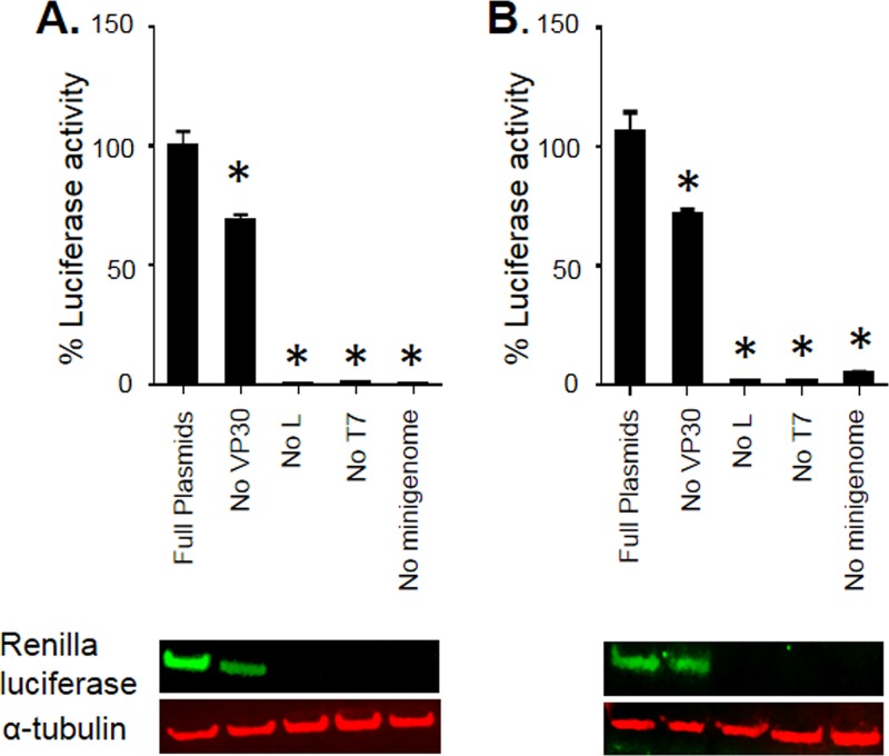 FIG 6