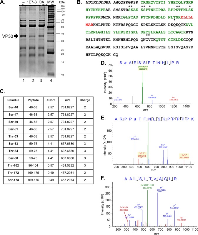 FIG 1