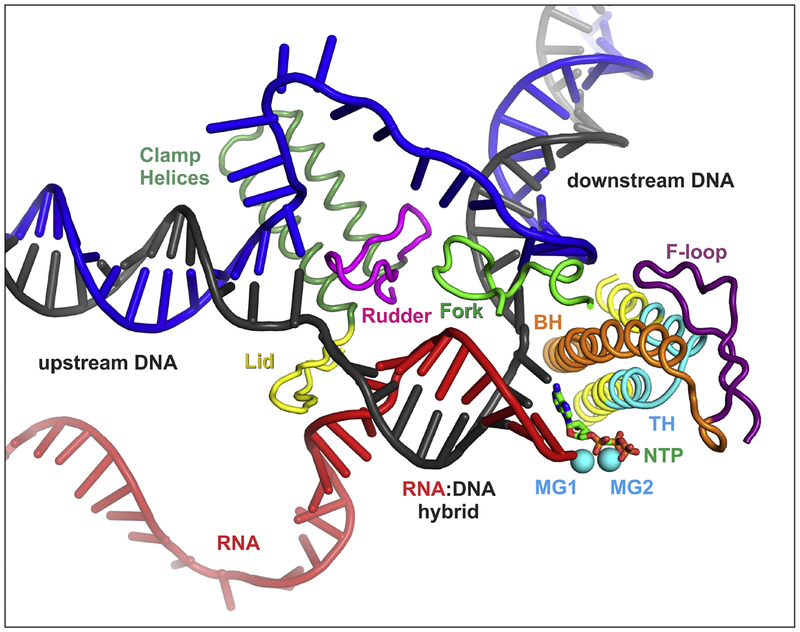 Fig. 2.