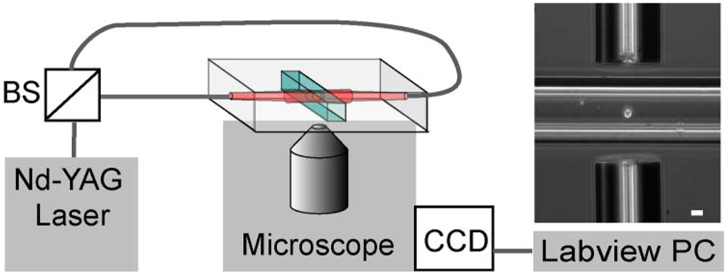 Fig. 3