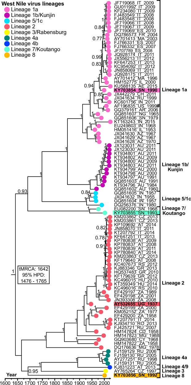 Fig 2