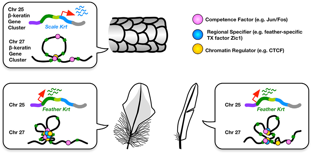 Figure 7.