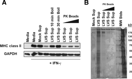 FIG. 8.