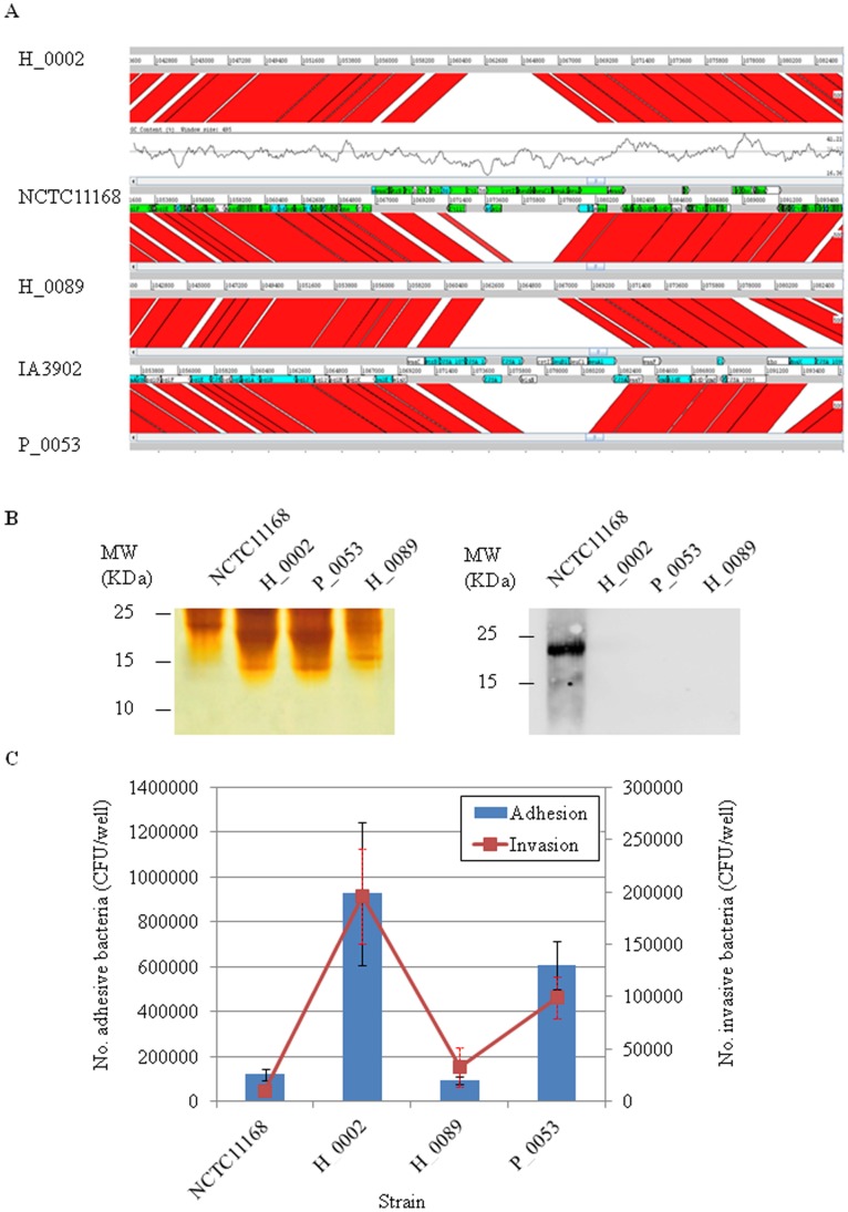 Figure 5