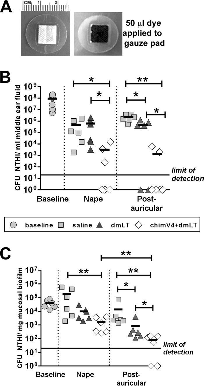 FIG 2