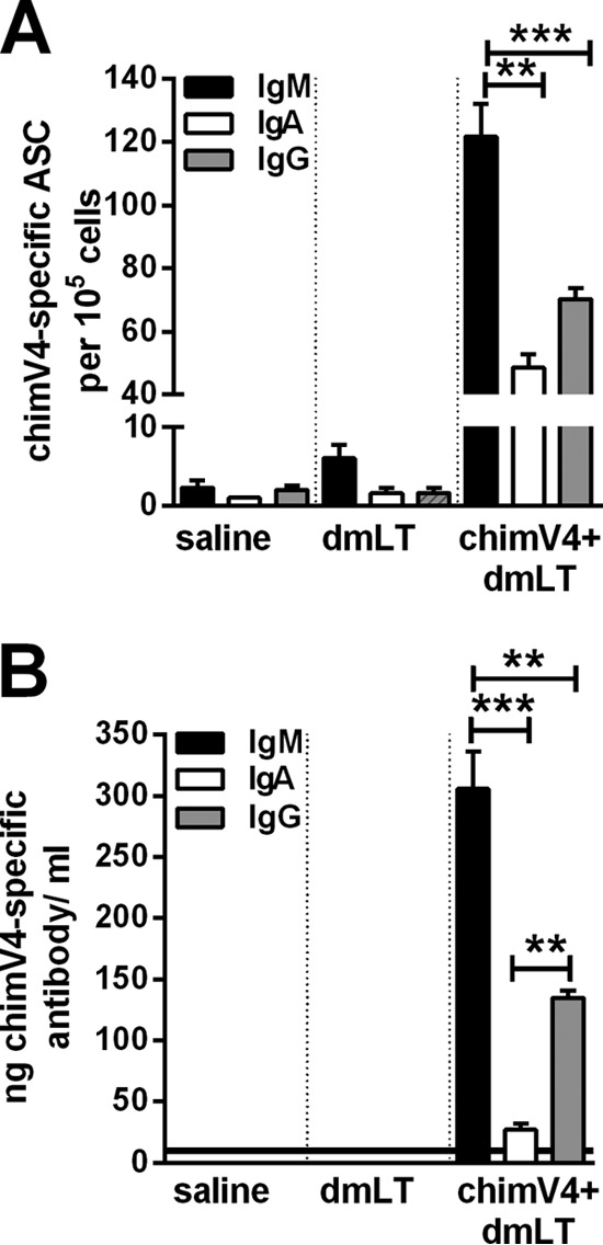 FIG 5