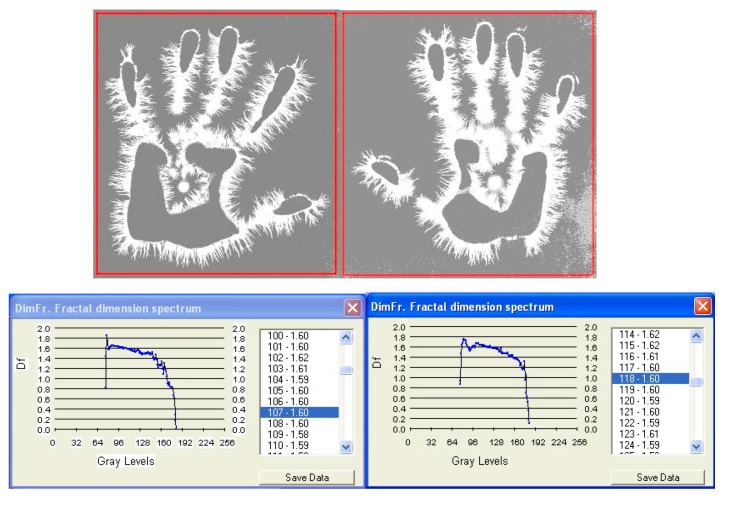 Fig. 6b
