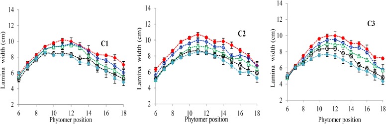 FIGURE 2