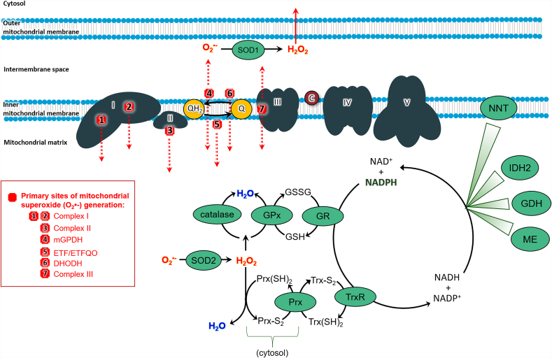 Fig. 2