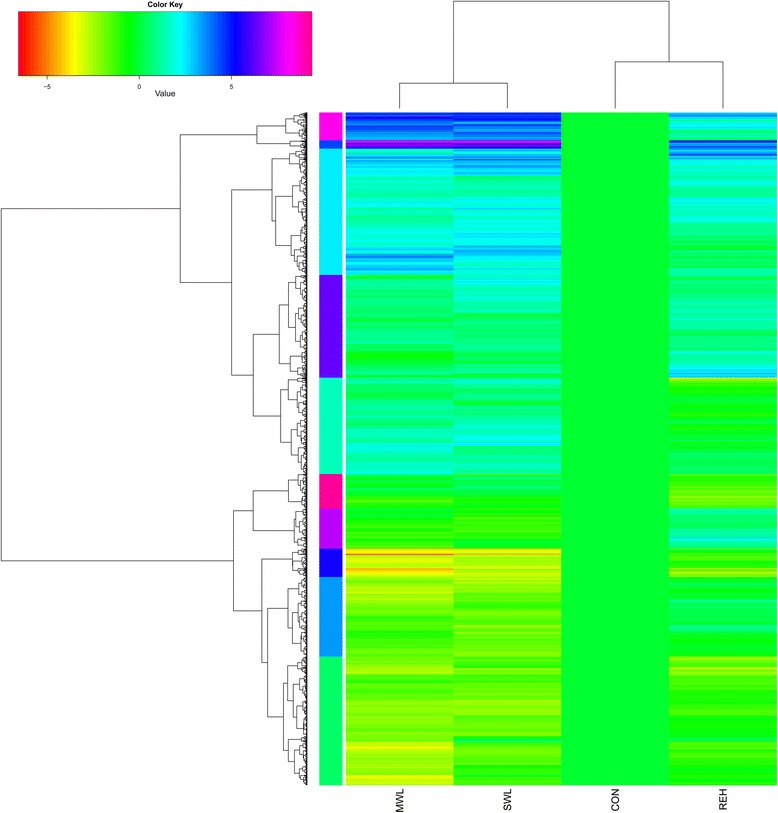 Fig. 1