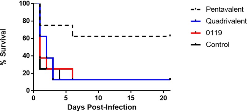 FIG 2