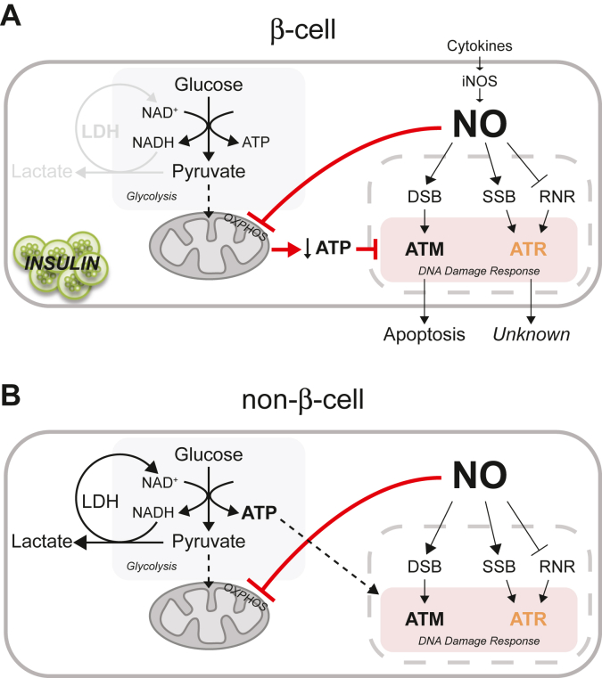 Figure 11