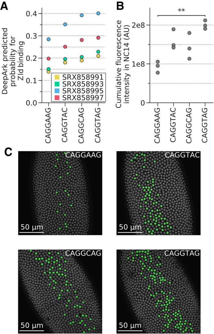 Figure 3.