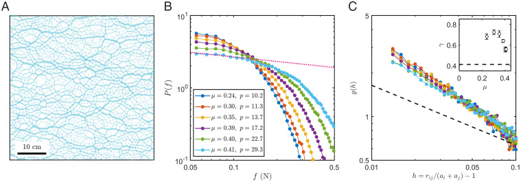 Fig. 3.