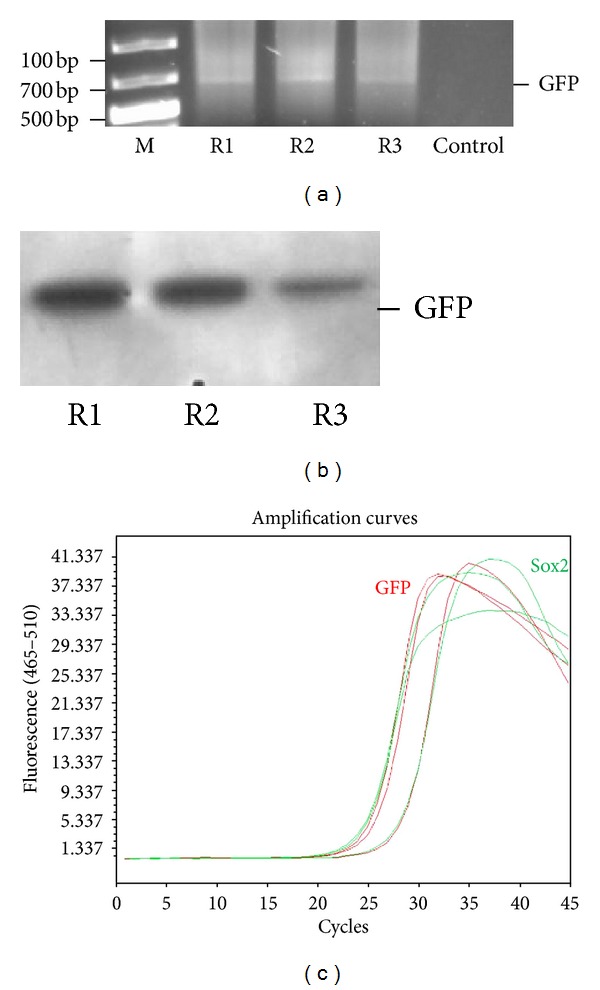 Figure 9