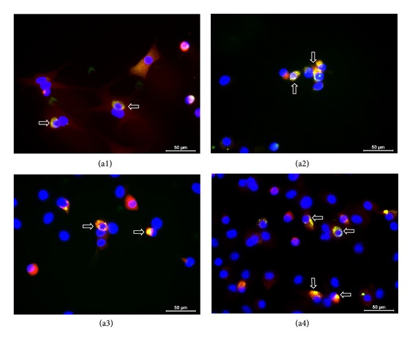 Figure 10