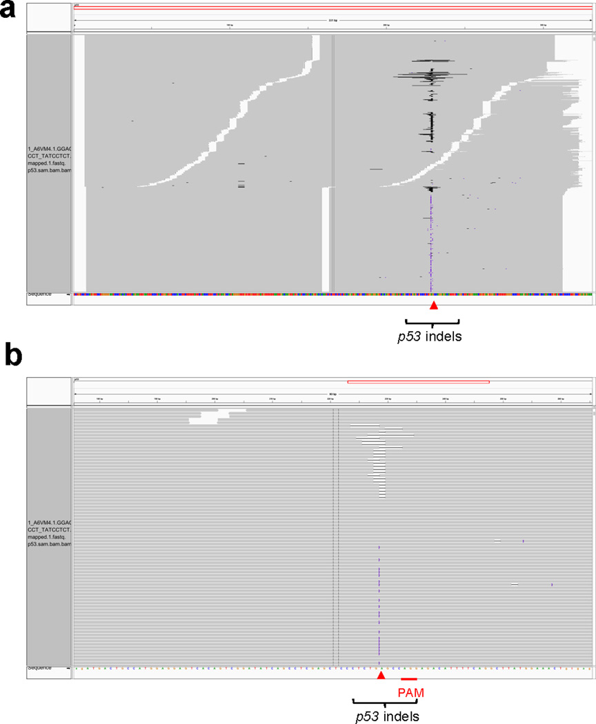 Extended Data Figure 7