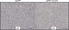 Extended Data Figure 5