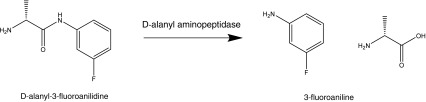 Scheme 3