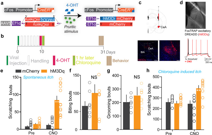 Figure 2—figure supplement 3.