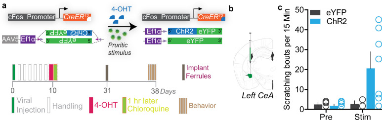 Figure 2—figure supplement 2.