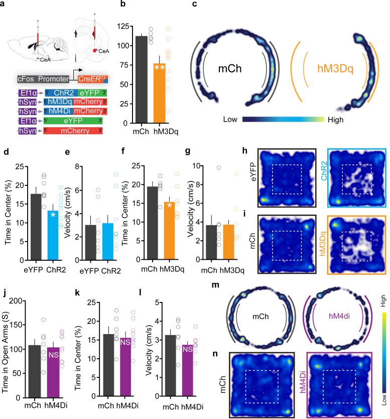 Figure 3—figure supplement 1.